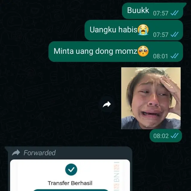 6 Chat Anak Rantau Minta Uang ke Orangtua Ini Kocak, Pakai Stiker Memelas