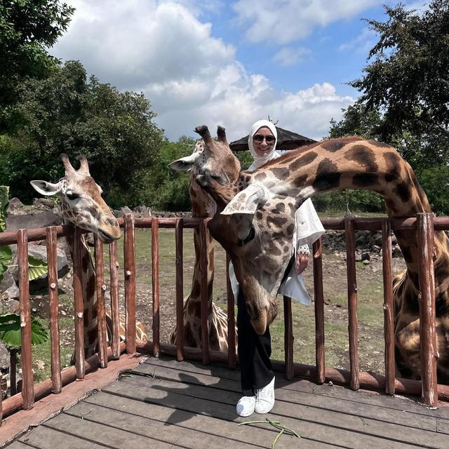 7 Potret Citra Kirana dan Keluarga di Taman Safari, Sarapan Bareng Jerapah