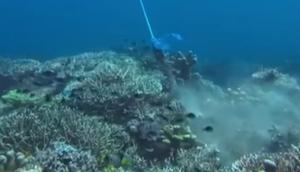 Pelaku wisata rusak terumbu karang di Labuan Bajo, Nusa Tenggara Timur (NTT). (dok. Instagram @alosobak/https://www.instagram.com/p/DQPXIOqEuLE/)