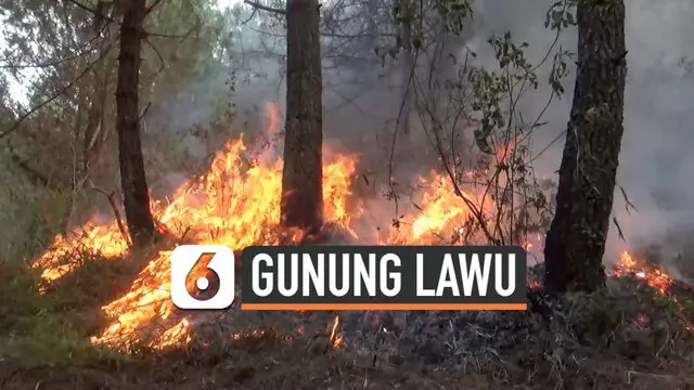 Kebakaran 14,7 hektar lahan di lereng Gunung Lawu berangsur-angsur sudah berhasil dipadamkan, namun api belum sepenuhnya padam. Petugas dengan berbagai cara terus berusaha mencegah api meluas.