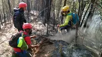 Tim gabungan berupaya memadamkan kebakaran hutan di lereng Gunung Kawi Malang pada Rabu, 8 November 2023 (Foto :Humas Polres Malang)