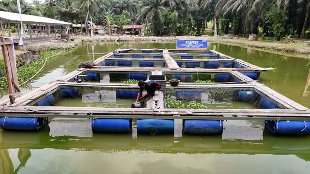 Pemberdayaan BRI Dorong Ekonomi Desa Empang Baru Kabupaten Siak Kian Bergeliat