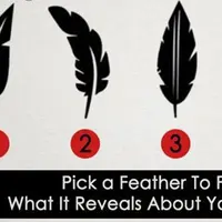 Setiap orang punya kecenderungan pribadi yang berbeda dan itu bisa diketahui ketika kamu memilih bulu ini. (Sumber foto: vemale.com)