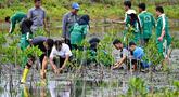 Beberapa siswa Sekolah Menengah Atas (SMA) didampingi para guru menanam bibit mangrove di taman mangrove, Banda Aceh pada 25 Oktober 2025. (CHAIDEER MAHYUDDIN/AFP)