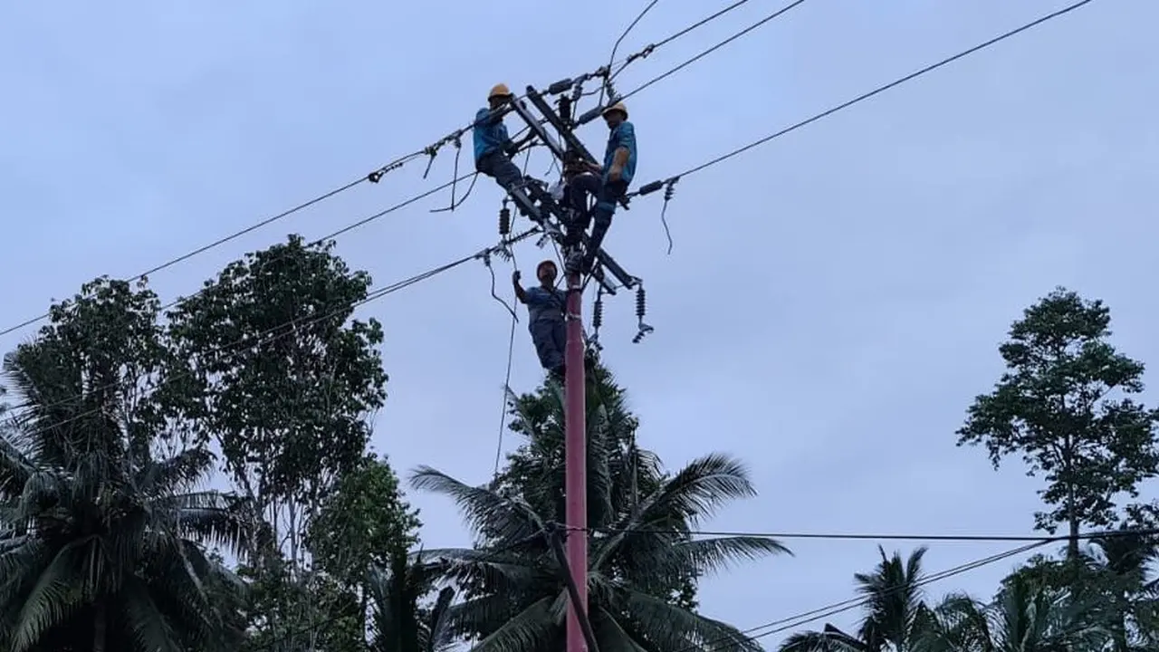 PLN