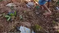 Pikap Rombongan Mahasiswa KKN Unhas Kecelakaan di Bantaeng