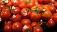 Tomat memiliki manfaat dalam menjaga kulit agar tetap awet muda. Selain mengandung Vitamin C, tomat juga mengandung likopen yang dapat bertindak dalam melindungi kulit agar tidak terjadi kerusakan akibat sinar matahari. (Gary Cameron/Reuters)