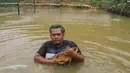 Royal Red Arowana Farm mengoleksi banyak indukan arwana super red dengan kualitas genetik unggulan. Ikan-ikan ini dipersiapkan untuk pasar ekspor maupun kebutuhan dalam negeri. Saat ini, farm tersebut fokus pada kegiatan pembiakan dan pembesaran hasil breeding untuk dijadikan indukan baru yang lebih berkualitas. Tampak dalam foto, peternak menangkap ikan pada kolam besar di Farm Royal Red Arowana yang terletak di kawasan Jasinga, Bogor, Jawa Barat, Sabtu (15/11/2025). (merdeka.com/Arie Basuki)