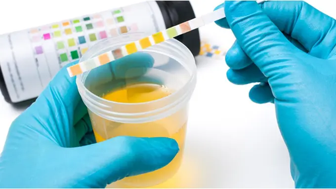 Courtesy ShutterStock.com