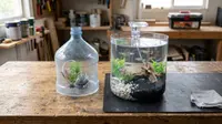 Cara Membuat Aquarium dari Galon Bekas, Hemat Biaya dan Tetap Estetik