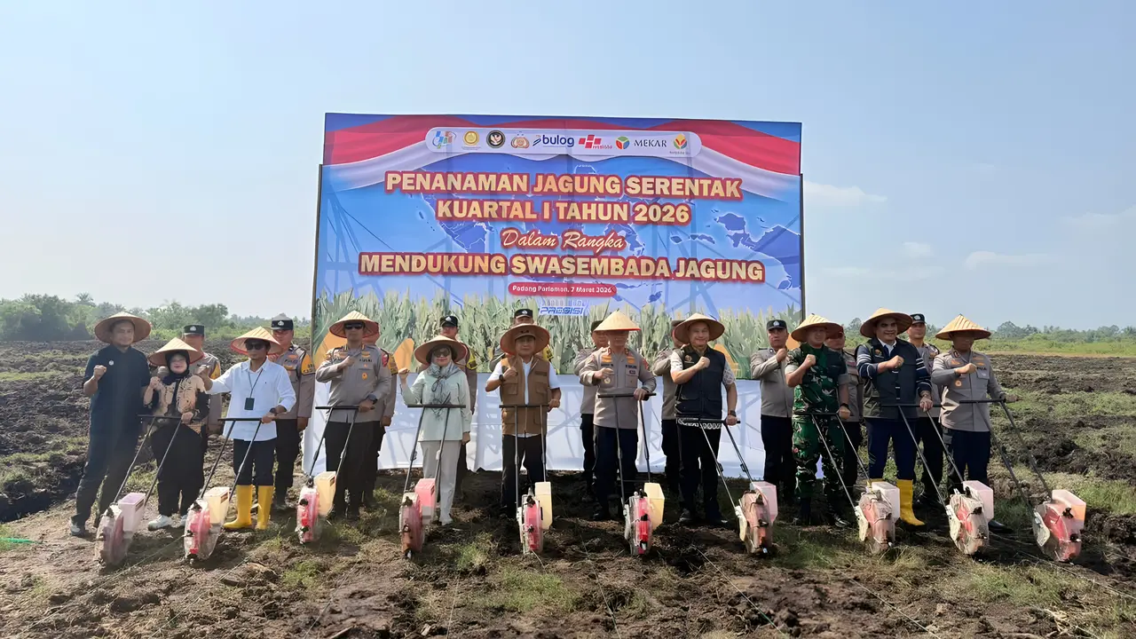 Penanaman Jagung Serentak