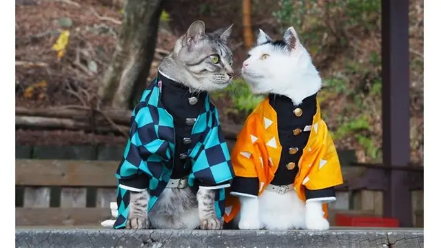 6 Kucing Pakai Baju Karakter Anime Demon Slayer Ini Gemas Banget