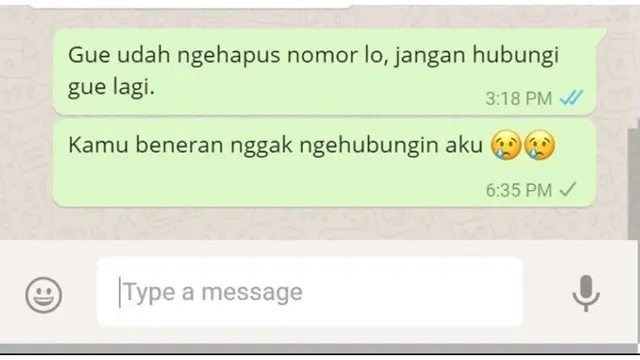 6 Chat Nyesel Ninggalin Mantan Ini Bikin Baper