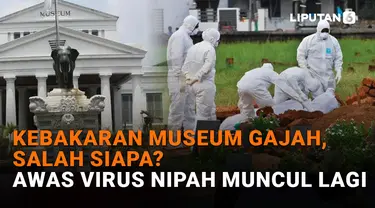 Kebakaran Museum Gajah, Salah Siapa?, Awas Virus Nipah Muncul Lagi