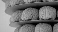 Dengan teknologi tinta biologi yang tengah dikembangkan peneliti, otak sungguhan dari printer 3D bukan lagi mimpi