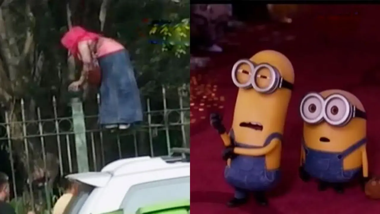 Razia PKL Monas hingga Penayangan Perdana Film Minions