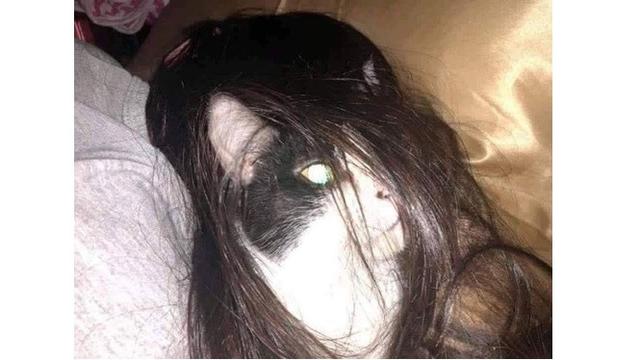 Kucing  nyeleneh (Sumber: Instagram/awreceh.id)