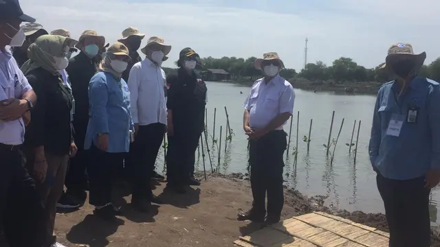 Menko Kemaritiman dan Investasi Luhut Binsar Pandjaitan melakukan kunjungan kerja ke Teluk Naga dalam acara Kickoff Rehabilitasi Mangrove Nasional. (Liputan6.com/Radityo Priyasmoro/Liputan6.com)
