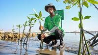 Nestlé MILO lewat Gerakan Pilih Hijau melakukan penanaman 15.000 mangrove pada Senin (15/7/2024) di Pantai Mangunharjo, Semarang, Jawa Tengah. (Foto: Istimewa)