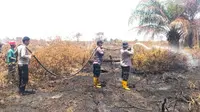 Personel Polda Riau di Siak mendinginkan lahan setelah dipadamkan beberapa hari lalu. (Liputan6.com/M Syukur)