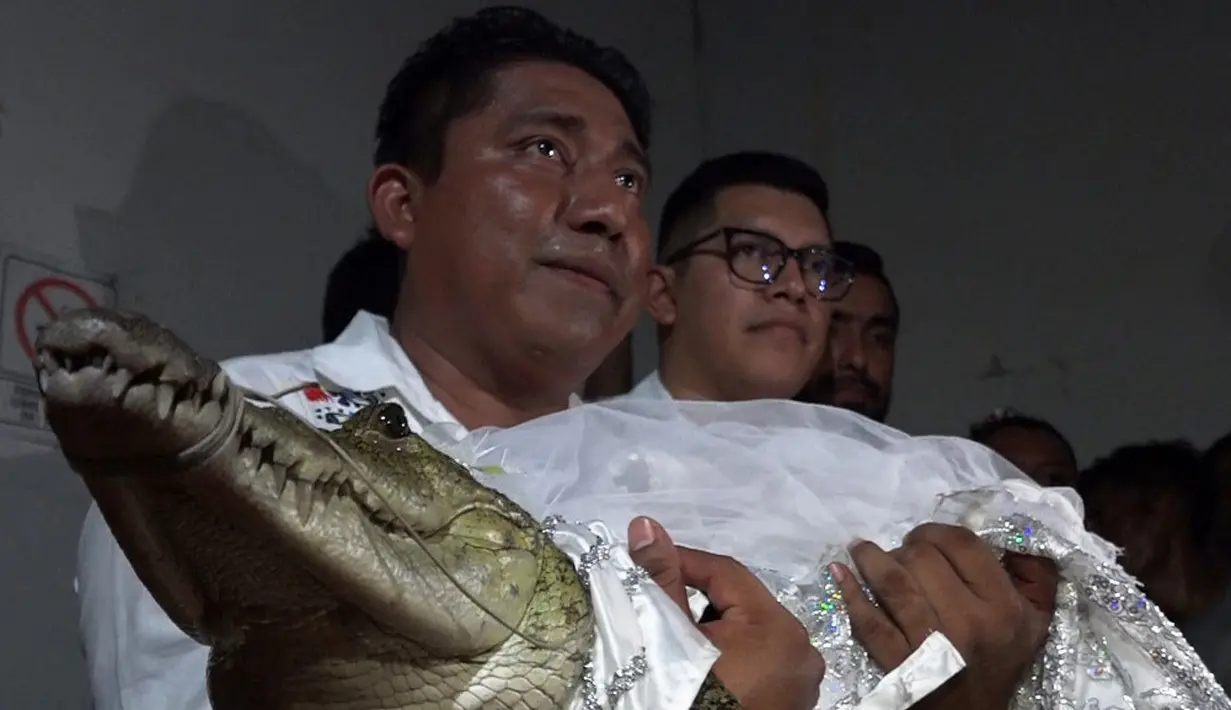 <p>Reptil yang dinikahi tersebut baru saja berusia tujuh tahun. Adapun ia dipercaya merupakan perwujudan dari Ibu Pertiwi dan pernikahan tersebut merupakan lambang penyatuan manusia dengan dewa. (RUSVEL RASGADO/AFP)</p>