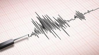 Gempa Magnitudo 3,0 Getarkan Kota Palu Sulawesi Tengah