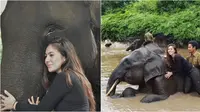 Potret kenangan Wulan Guritno bareng gajah Rahman, yang mati diracun untuk diambil gadingnya. (Sumber: Instagram/wulanguritno)