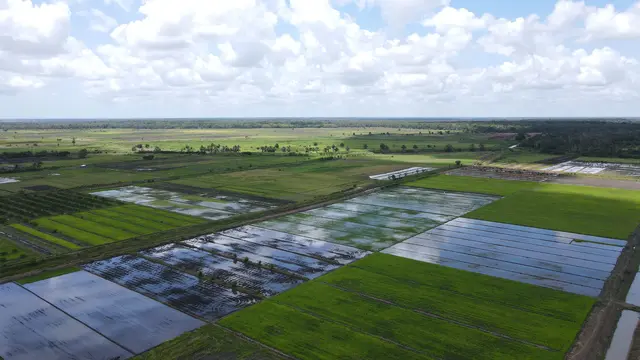 Lahan Pertanian.