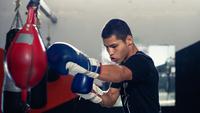 Peralatan Latihan Tinju Praktis untuk Home Workout, Cocok untuk Pemula hingga Pro