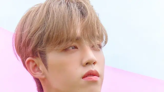 S.Coup Seventeen (Soompi)