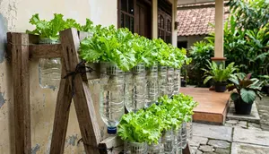 Cara Memanfaatkan Botol Plastik Bekas untuk Menanam Selada Hidroponik, Solusi Hemat di Rumah Mungil