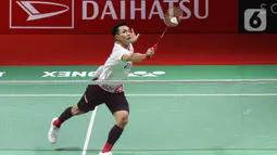Pebulu tangkis tunggal putra Indonesia Jonatan Christie mengembalikan kok ke arah wakil Irlandia Nhat Nguyen pada babak 32 besar Indonesia Masters 2023 di Istora Senayan, Jakarta, Rabu (25/1/2023). Jonatan Christie selaku unggulan keempat dan ganda putra nomor tiga dunia tampak terlambat panas. (Liputan6.com/Herman Zakharia)