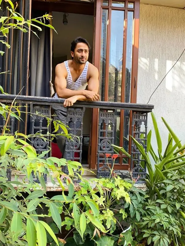 5 Potret Rumah Shaheer Sheikh, Nyaman dan Punya Taman Luas
