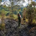 Kebakaran Hutan Gunung Semeru, 170 Pendaki di Ranu Kumbolo Dievakuasi