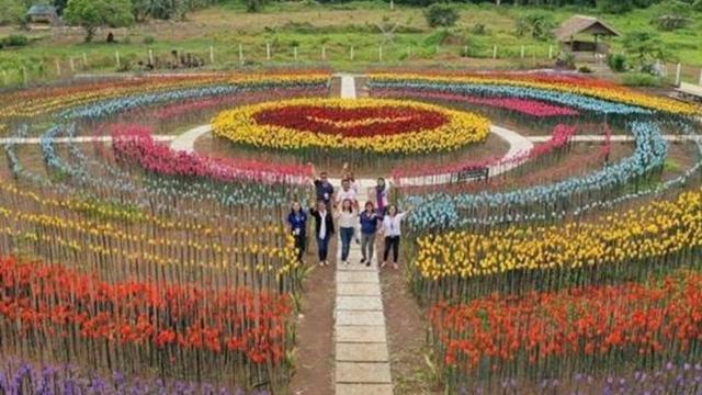 Unik, Kota Ini Ubah Sampah Plastik Jadi Taman Bunga Indah