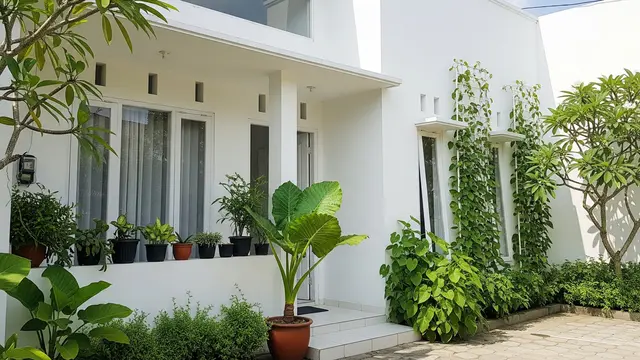 Halaman rumah warna Putih Klasik (Pure White) (Gemini AI)