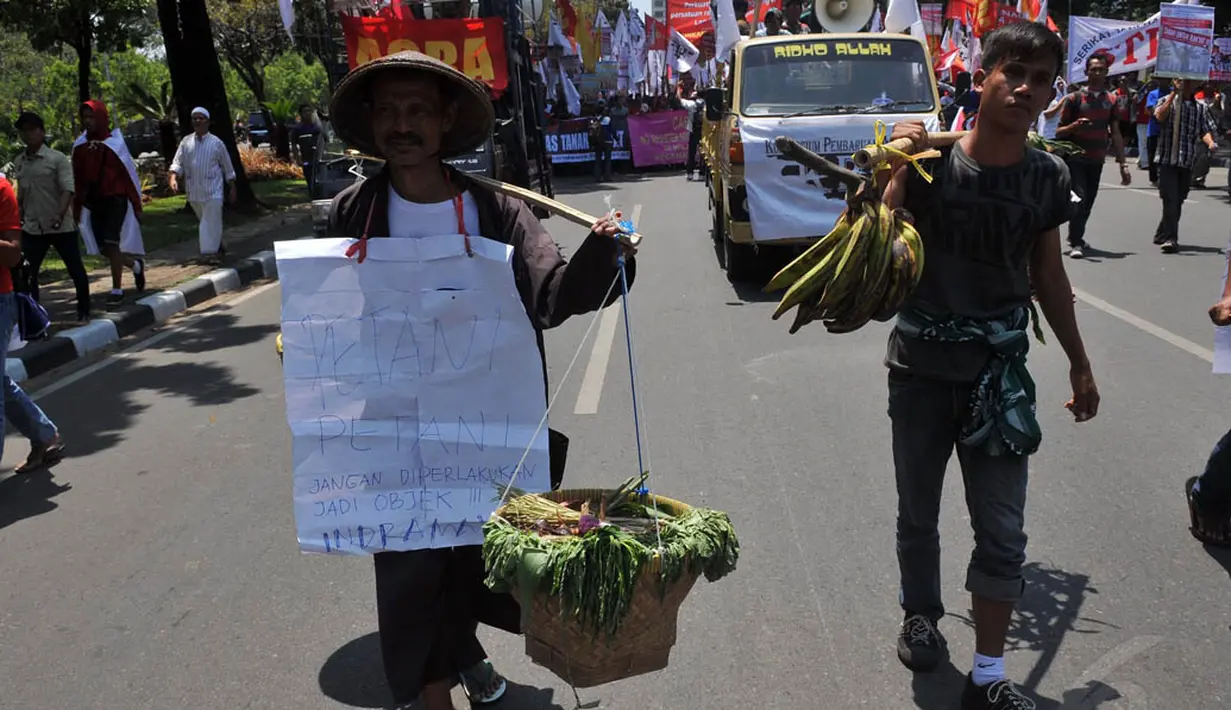 Dalam aksinya, para petani tersebut membawa hasil pertanian, Jakarta, (24/9/14). (Liputan6.com/Johan Tallo)