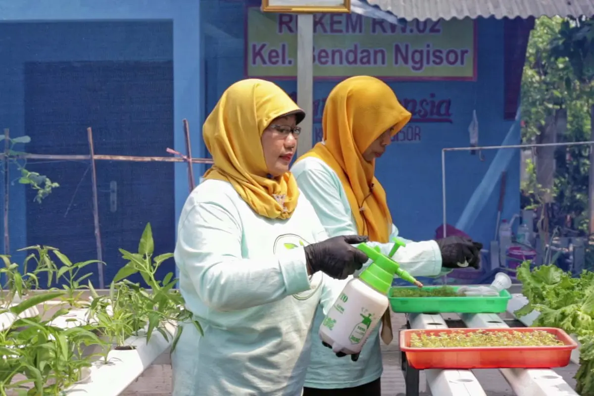Jalankan Urban Farming dengan Dukungan ‘BRInita’, Teh Herbal Jadi Produk Unggulan Poktan Bensor di Semarang