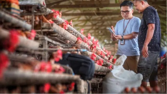 Bisnis UMKM Tetap Ekspansif di Kuartal II 2026, Optimisme Pelaku Usaha Masih Terjaga