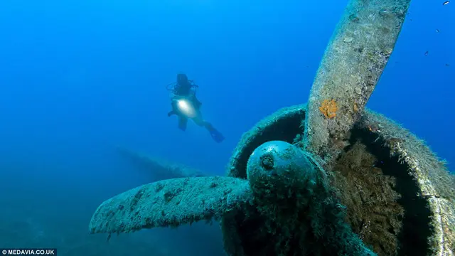 Melihat Tempat Bermain Bawah Laut dari Pesawat Perang Dunia Dua