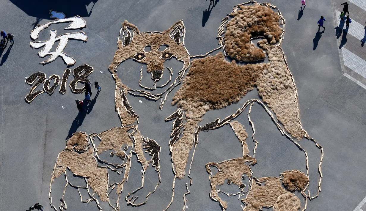 Pandangan dari atas pengunjung melihat gambar seekor anjing Shiba Inu dan dua anaknya berukuran 22.5mx 27m di Taman Seaside Hitachi, Utara Tokyo, (29/12). Kegiatan tersebut untuk merayakan kedatangan Tahun Anjing. (AFP PHOTO / Toshifumi Kitamura)