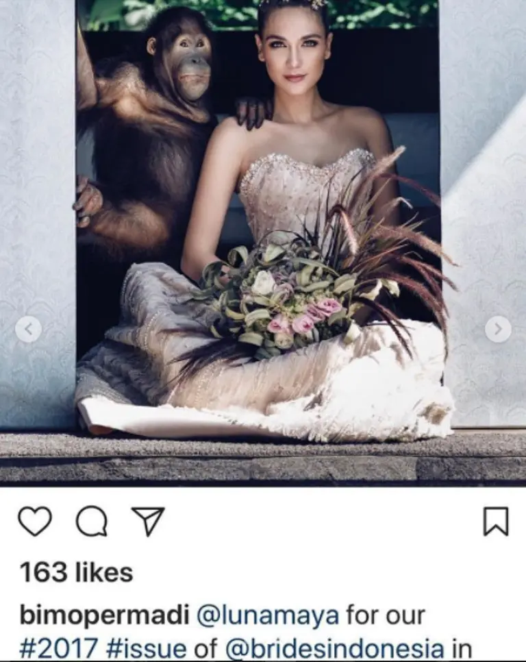 Foto Luna Maya di sampul majalah bersama orangutan mendapat kecaman. (Instagram/bosfoundation)