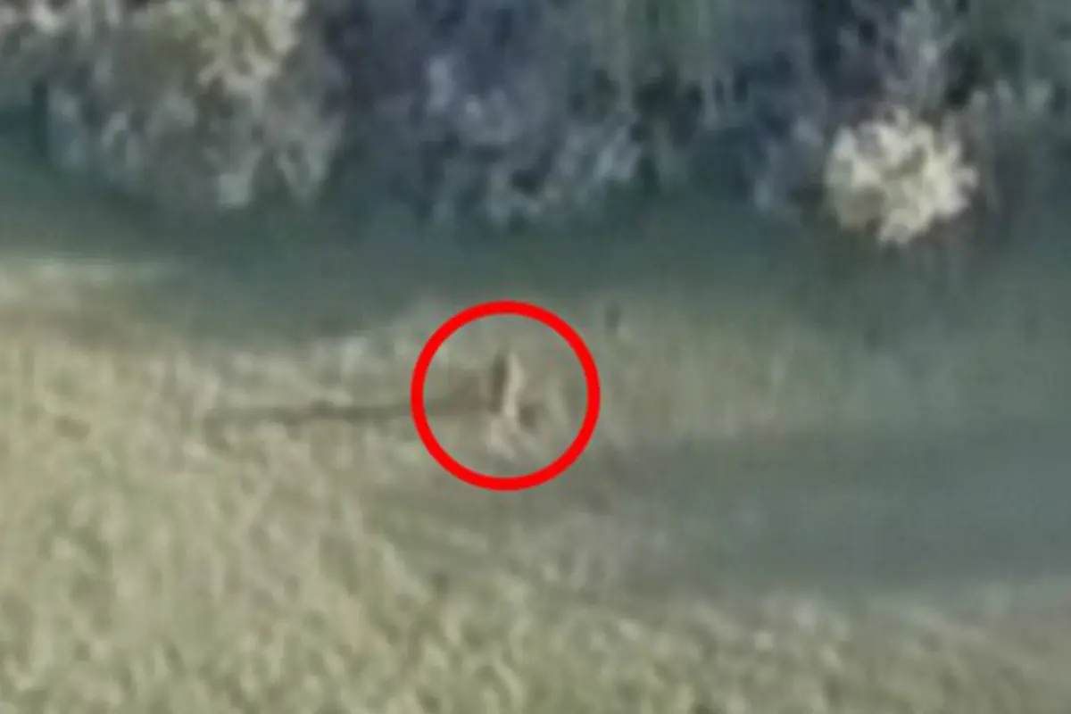Drone Bigfoot (2)