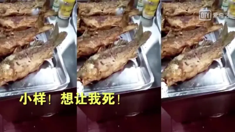 Ikan goreng yang siap disajikan tiba-tiba bergerak sendiri, hidup lagi?