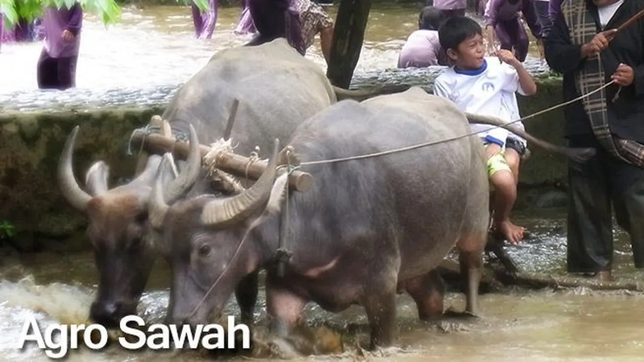Taman Wisata Matahari