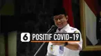 THUMBNAIL ANIES