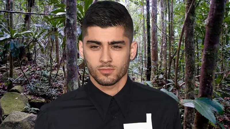 Zayn Malik 