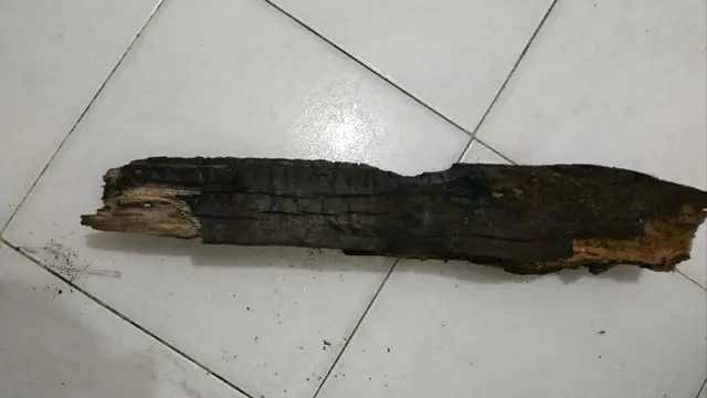 Bekas kayu di kebakaran lahan dijadikan polisi sebagai barang bukti menangkap kakek di Siak.