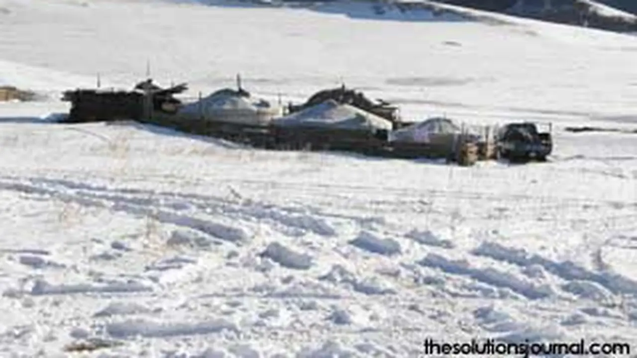 120423asalju-mongolia.jpg