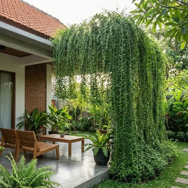 Model Teras Rumah yang Sejuk Hanya dengan Tanaman Murah